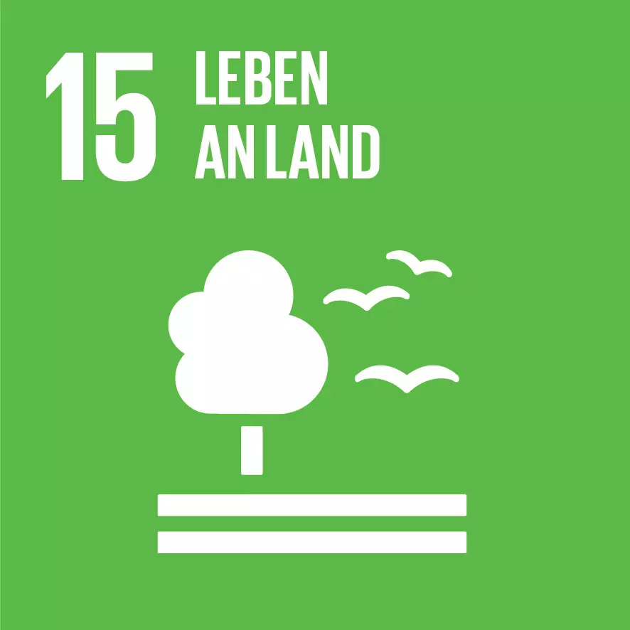 Piktogramm zu SDG - Nachhaltigkeitsziel 15: Leben an Land