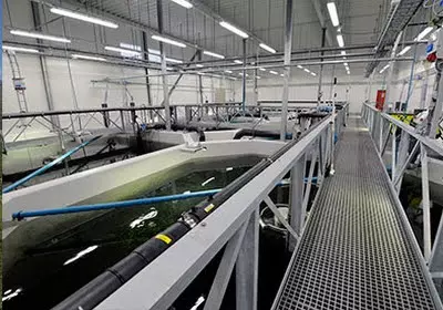 Anlage zur Lachszucht 