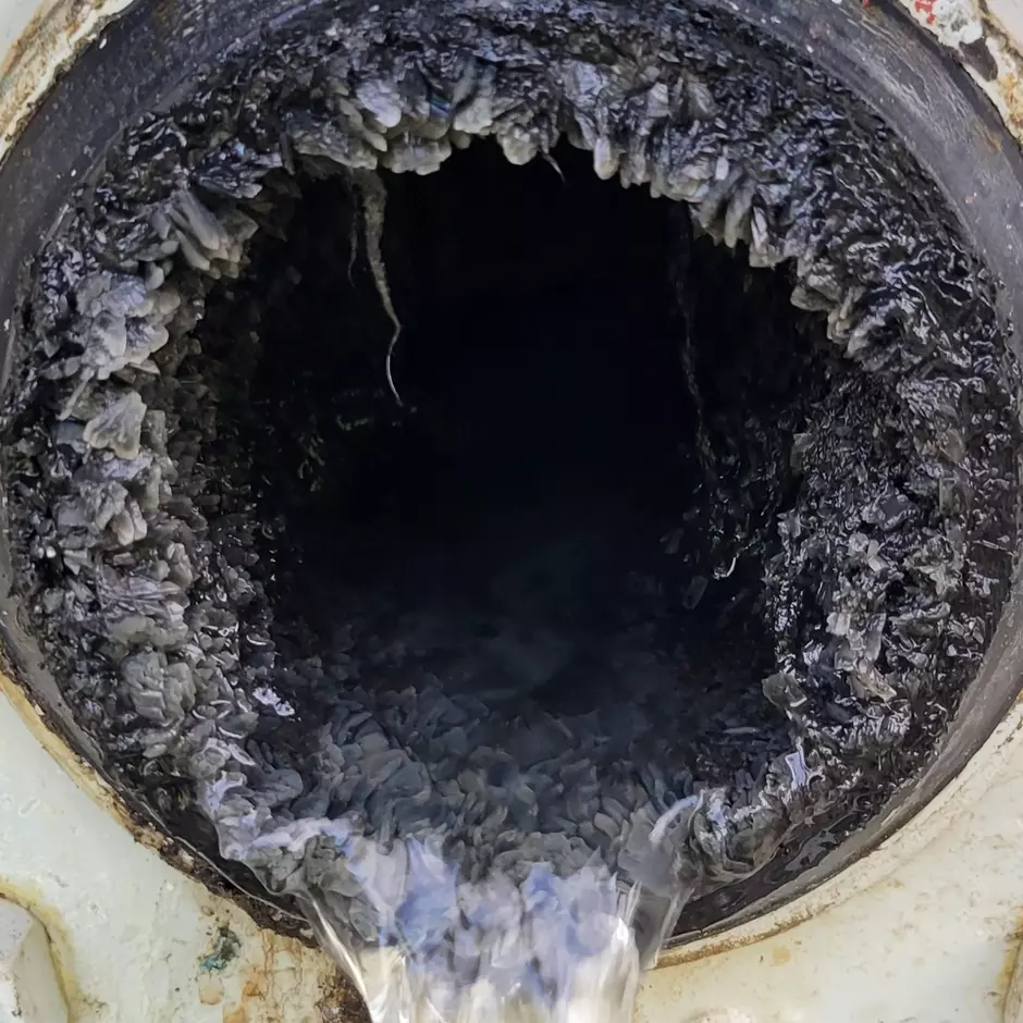 Struvite Deposits in Heat Exchanger Piping
